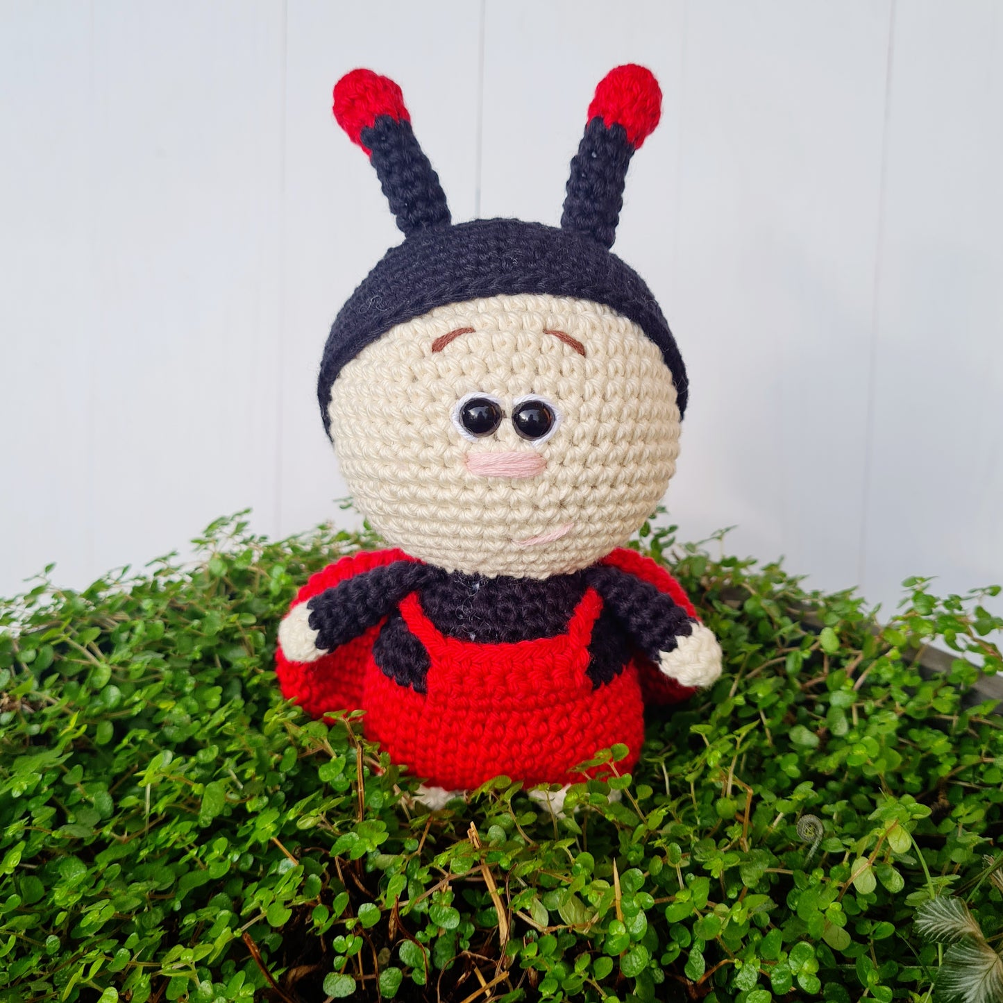 Crocheted Baby Ladybug